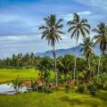 Indonesian tropical landscape