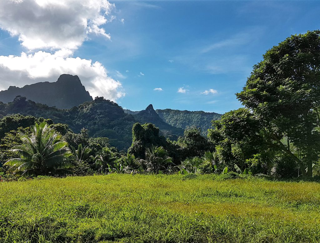 moorea-island-landscape-with-mountains