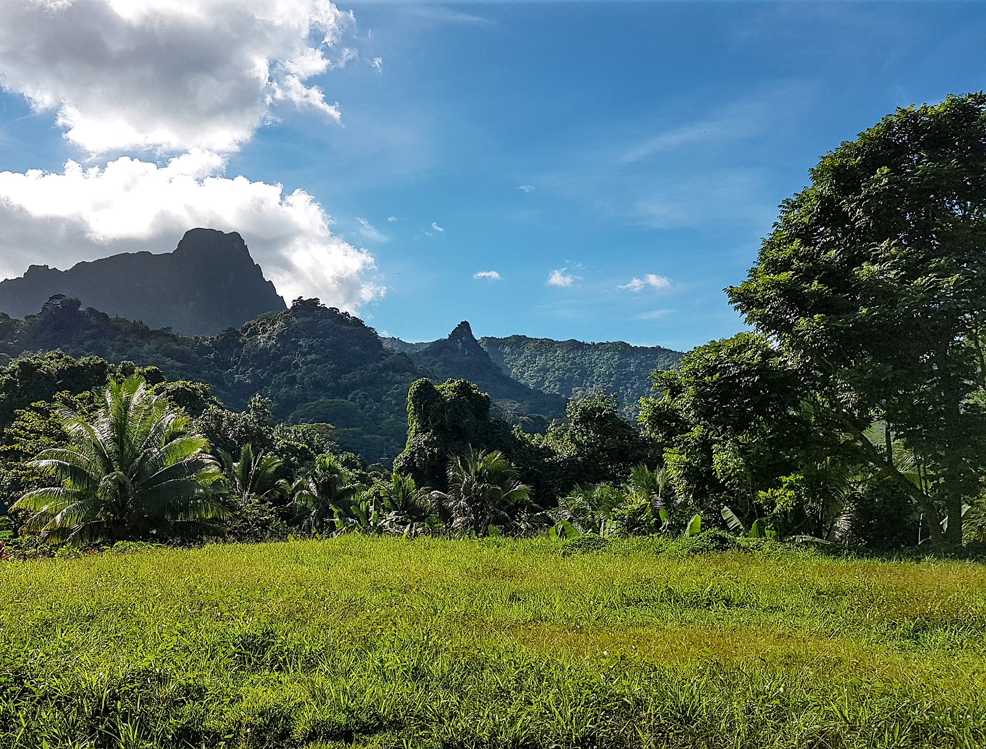 excursion 4x4 tahiti