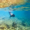 Young woman snorkeling and diving in tropical sea