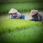 Vietnam - Découvrez Sapa hors des sentiers battus lors de votre voyage