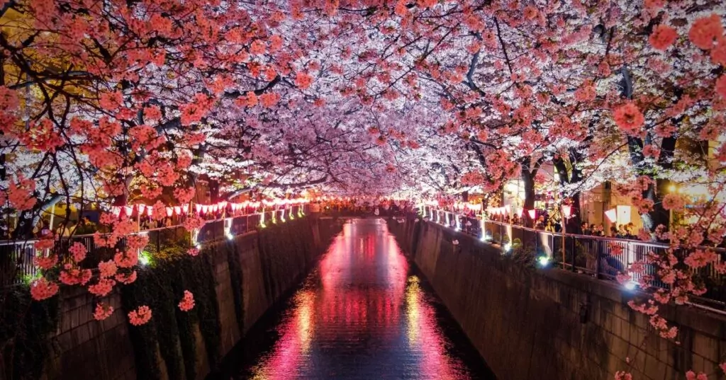 Séjour culturel au Japon 10 jours incontournables à visiter
