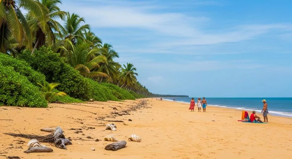 Les Plages De Guyane : Un Paradis Pour Les Amoureux Du Tourisme Featured Image